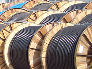 湖南娄底质监局开展电线电缆产品质量整治提升行动